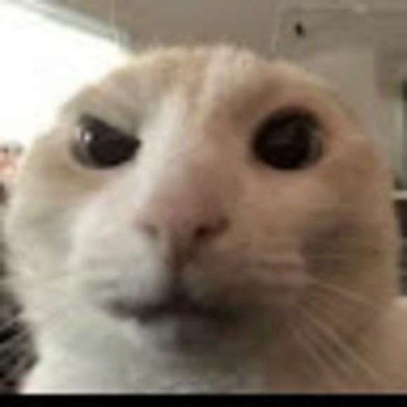 9cat11